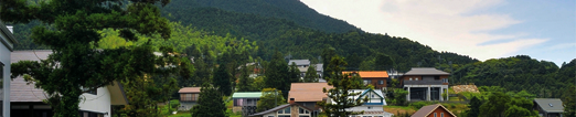 雷山の森　糸島探訪ブログ